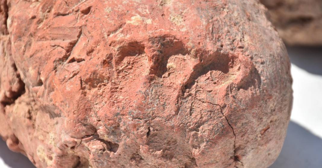 İzmir'de heyecanlandıran keşif: Dünyanın en eski parmak izi 4